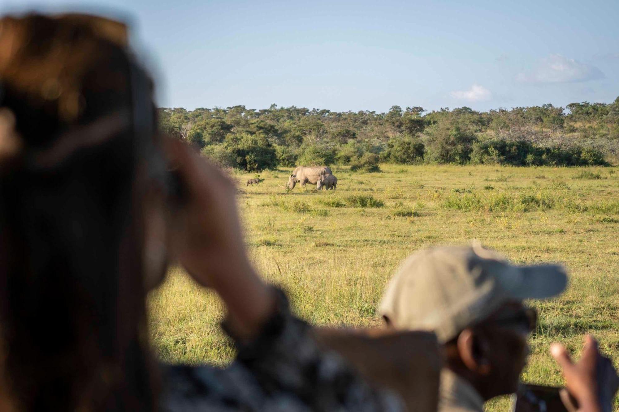 Tshwene Lodge Vaalwater Exteriör bild