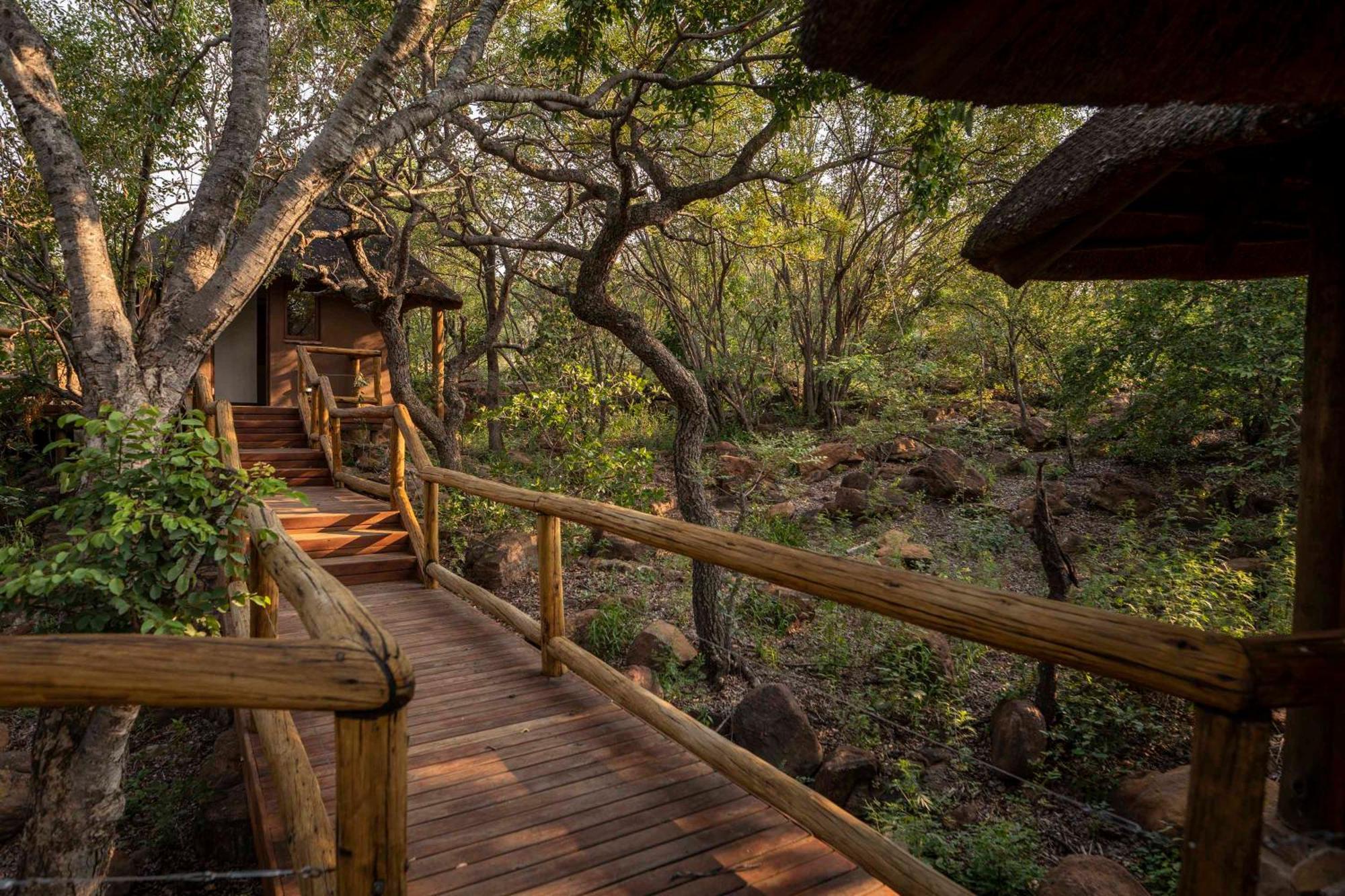 Tshwene Lodge Vaalwater Exteriör bild