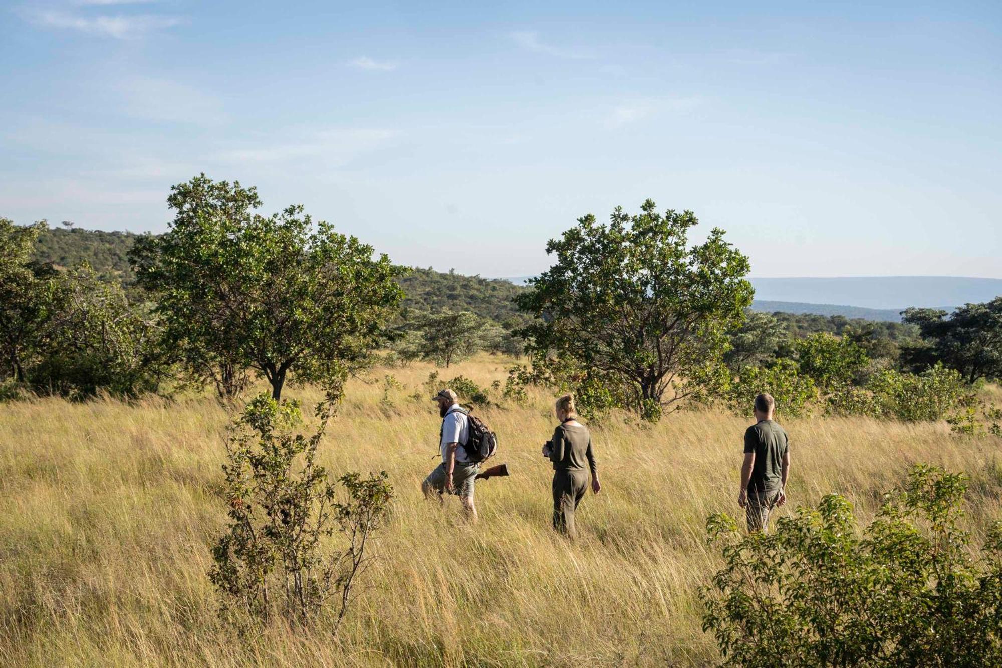 Tshwene Lodge Vaalwater Exteriör bild
