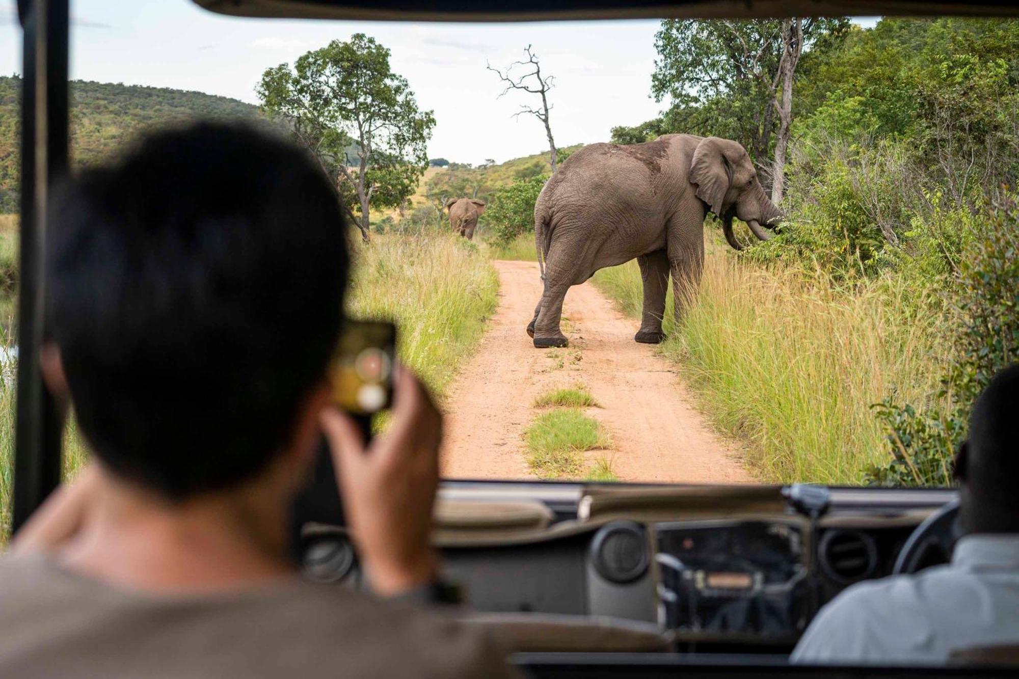Tshwene Lodge Vaalwater Exteriör bild