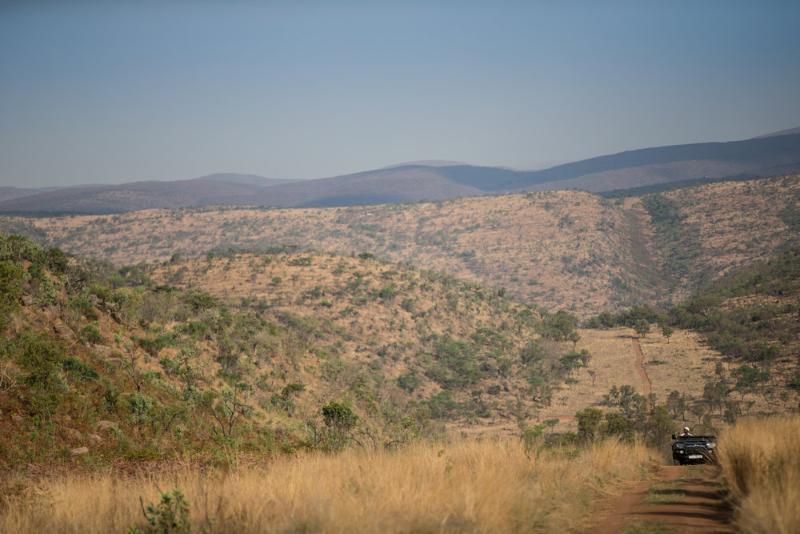 Tshwene Lodge Vaalwater Exteriör bild