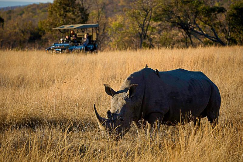 Tshwene Lodge Vaalwater Exteriör bild