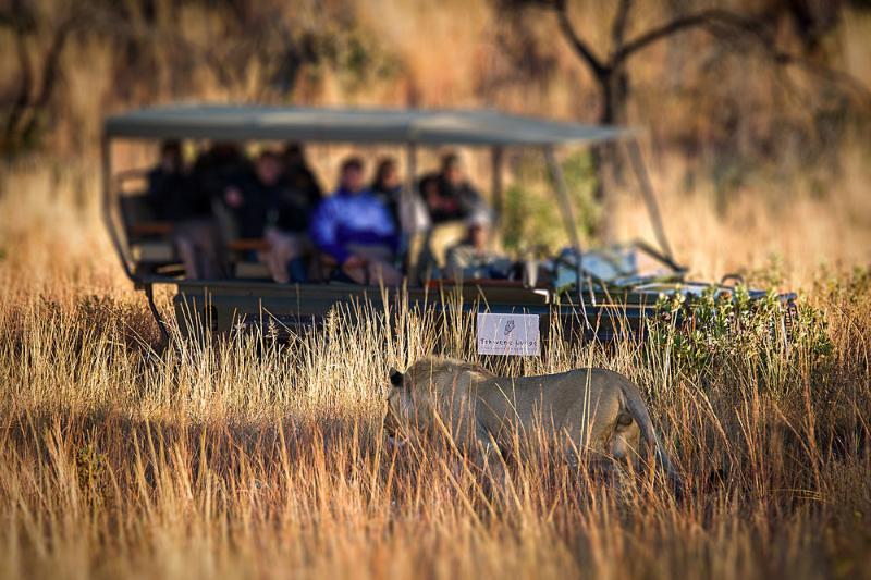 Tshwene Lodge Vaalwater Exteriör bild