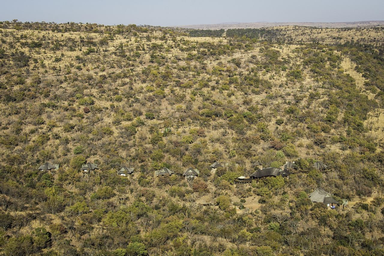 Tshwene Lodge Vaalwater Exteriör bild