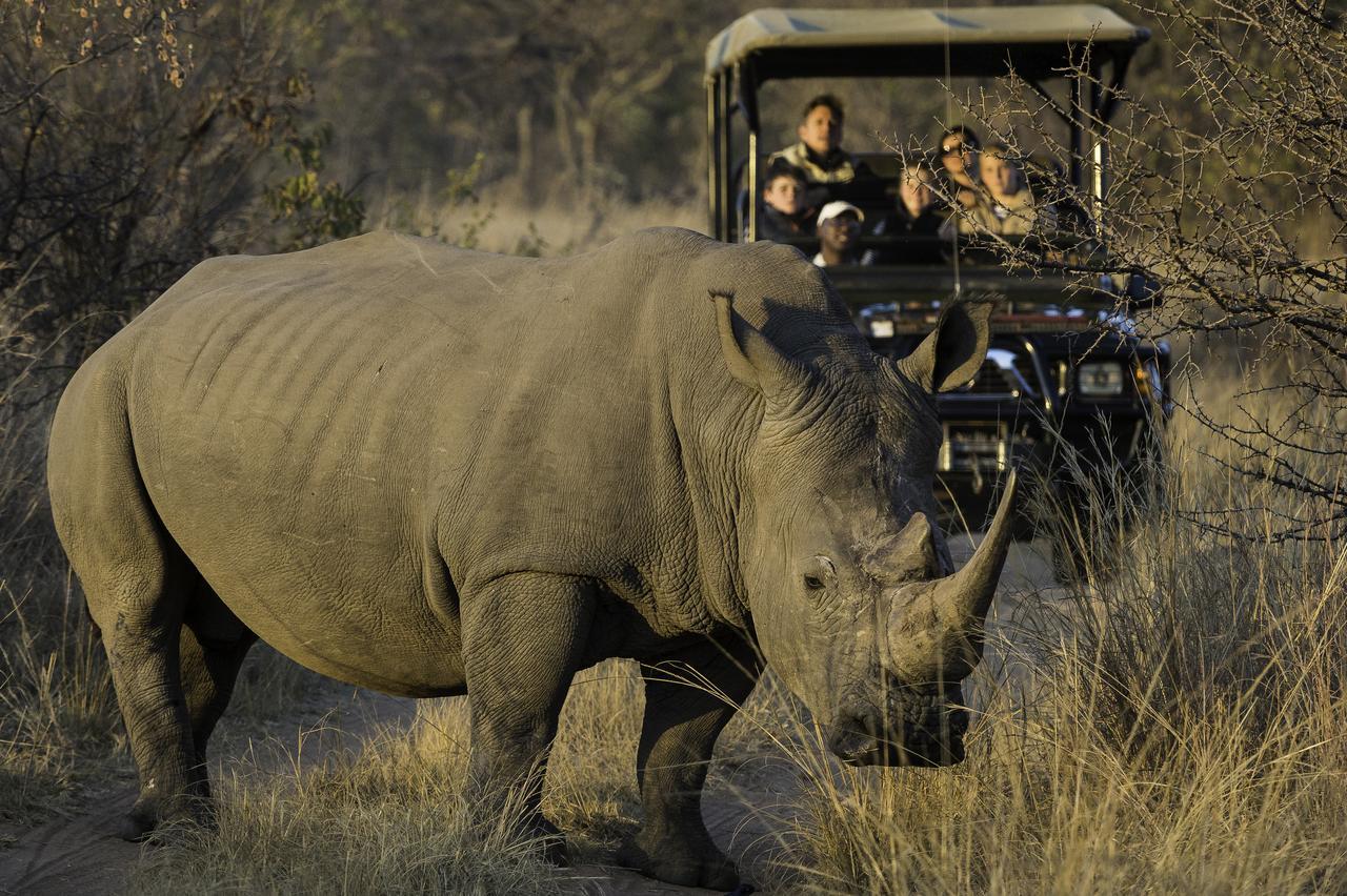 Tshwene Lodge Vaalwater Exteriör bild