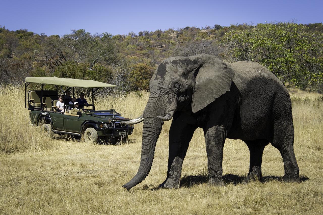 Tshwene Lodge Vaalwater Exteriör bild